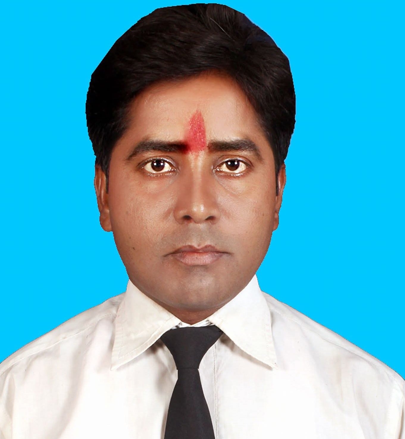 Team Member